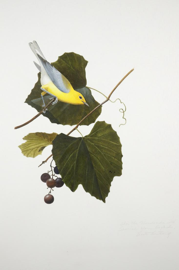 SCOTT GENTLING (TX/MN, 1942-2006) (1 of 3)