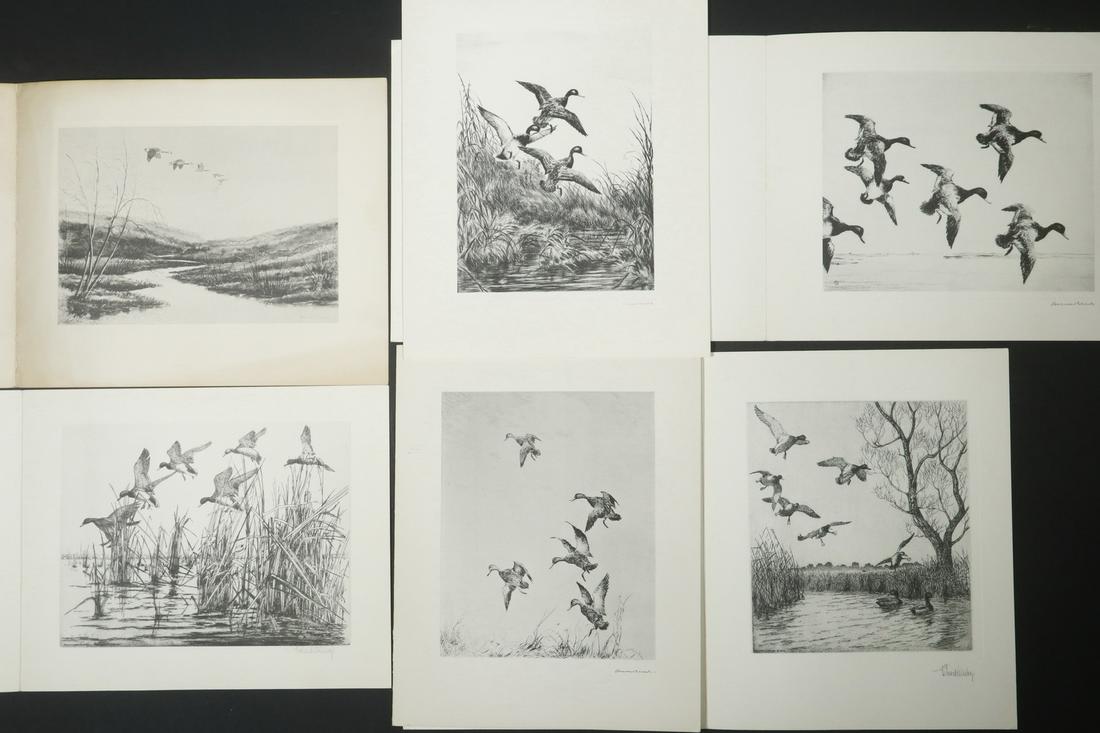 (15) ETCHINGS OF DUCKS BY VARIOUS ARTISTS, USED AS (1 of 1)
