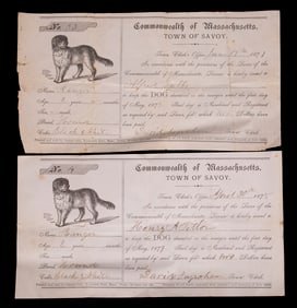 (2) 1870'S SAVOY, MASSACHUSETTS PAPER DOG LICENSES