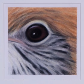 REV. PAUL A. PLANTE (ME, 1943 - )