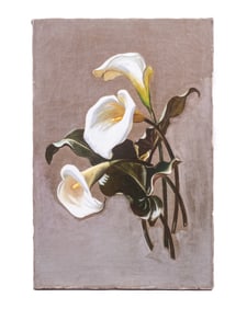 LATE 19TH C. OIL OF CALLA LILIES, UNFRAMED