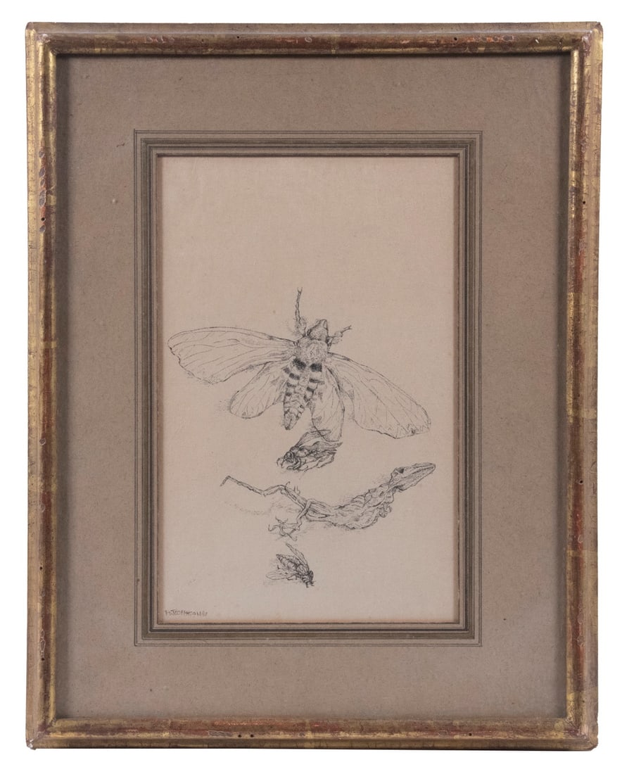 ARTHUR JOSEPHSON (20TH C. MAINE): ARTHUR JOSEPHSON (20TH C. MAINE) Moth, Wasp, Bee and Salamander Carcass, pen and ink on paper, signed lower left and dated "67, In water gilt ogee frame, under french ruled mat, glass. OS: 15 1/2" x