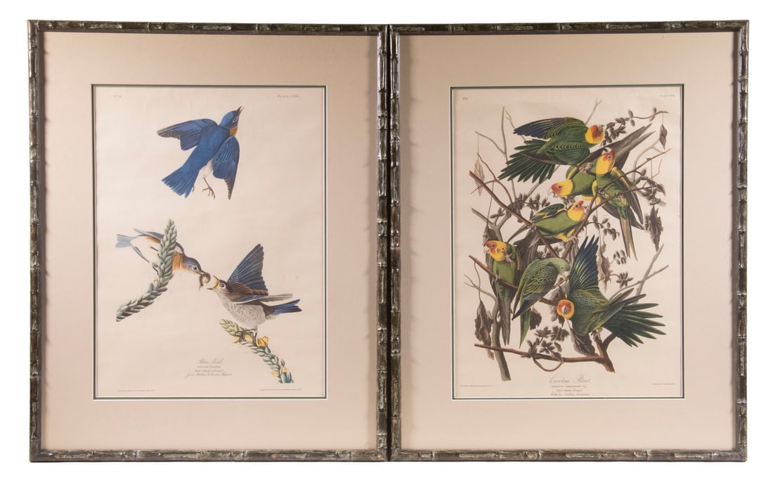 (2) 1960'S AUDUBON REPRINTS, FRAMED (1 of 3)