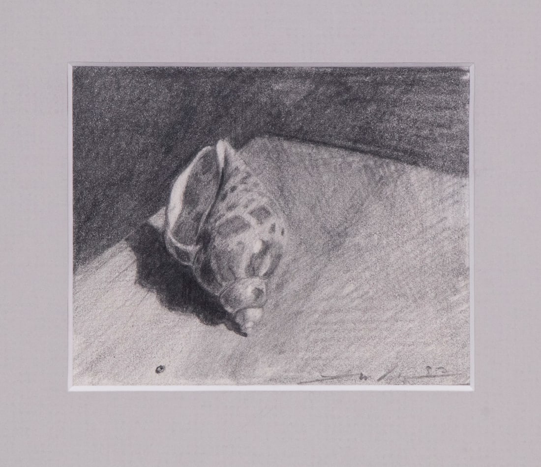 FRAMED DRAWING OF A SEA SHELL: FRAMED DRAWING OF A SEA SHELL Graphite Drawing of Japanese Babylon shell, graphite on paper, illegibly signed lower right, in white box frame, matted under glass, OS: 9 1/2" x 10", SS: 3" x 3 1/2".