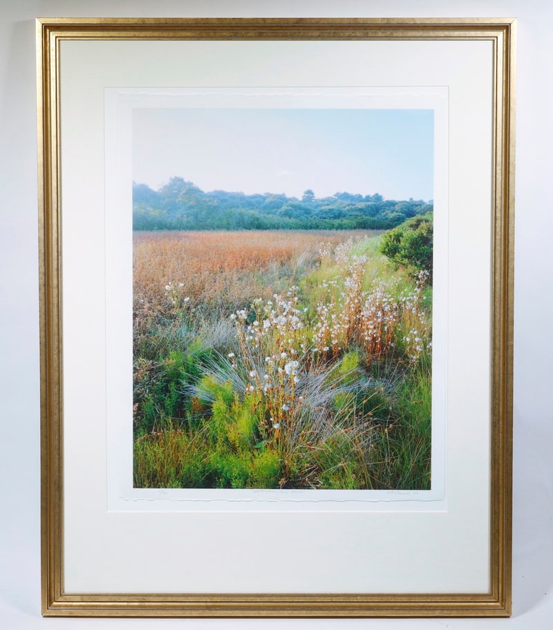 FRAMED PHOTOGRAPH BY SUTHERLAND (1 of 3)