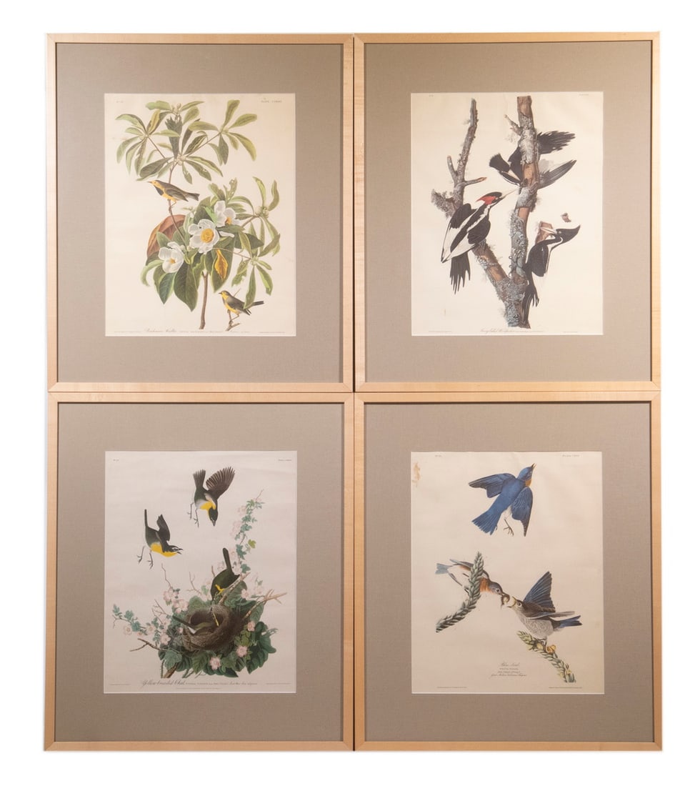 (4) REPLICA AUDUBON BIRD PRINTS, FRAMED (1 of 5)