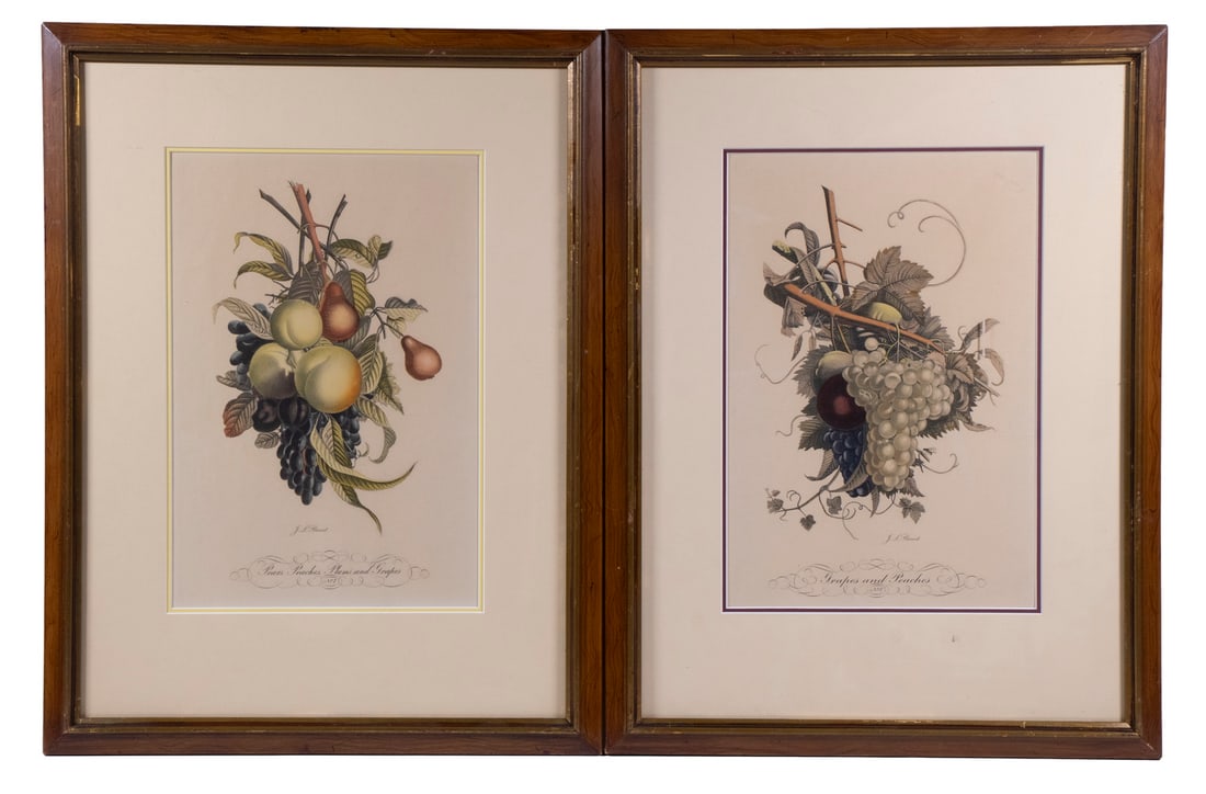 PAIR OF 20TH C. FRUIT PHOTOLITHOS AFTER PREVOST (1 of 3)