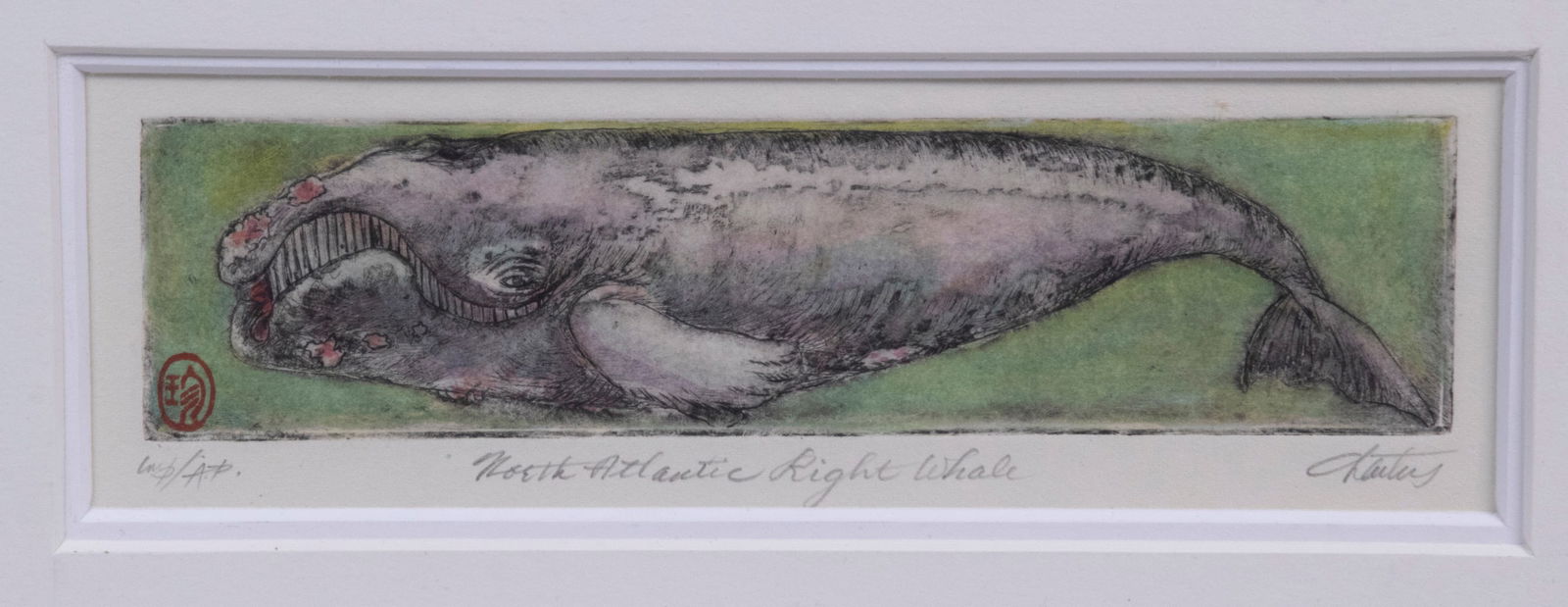HELEN CHARTERS (NEW BRUNSWICK, CAN, 1930 - 2007): HELEN CHARTERS (NEW BRUNSWICK, CAN, 1930 - 2007) "North Atlantic Right Whale", handcolored etching, pencil signed, titled and with Japanese style chops, marked as a/p, in grey wood box frame, matted