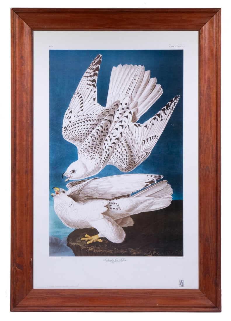 AUDUBON REPRINT, FRAMED (1 of 3)