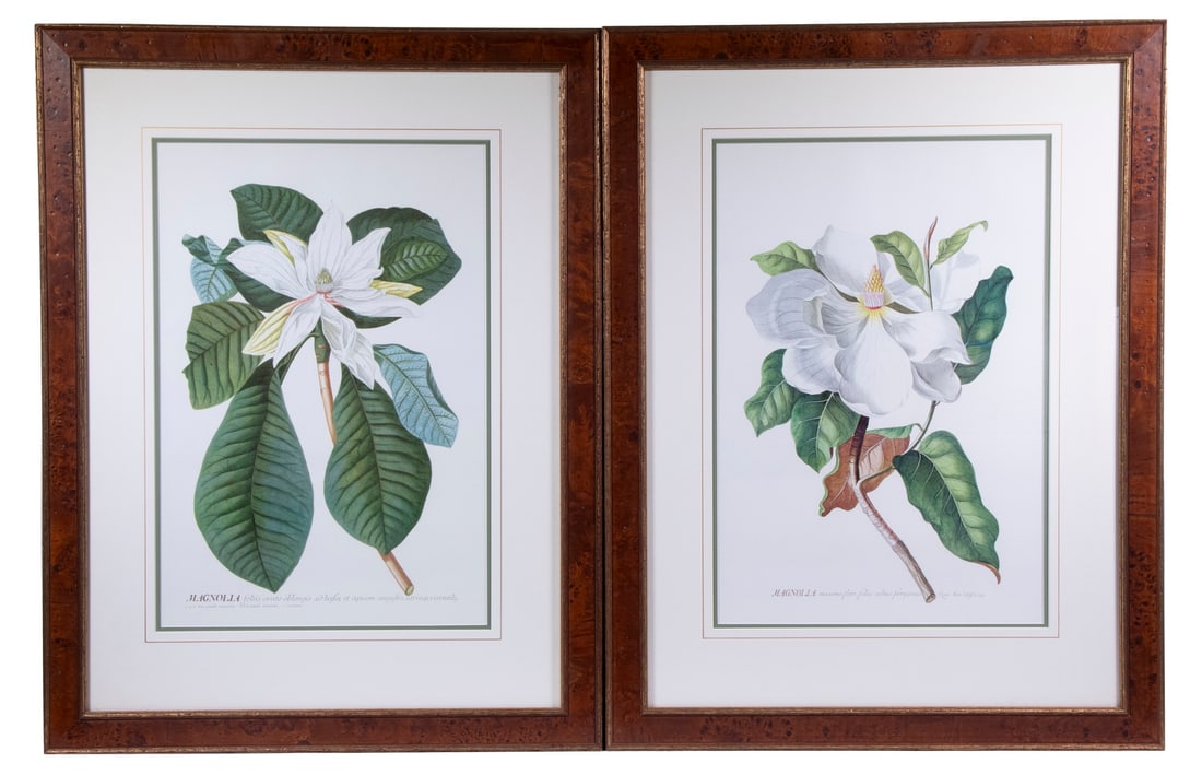 PAIR OF REPRINT BOTANICALS, FRAMED (1 of 3)