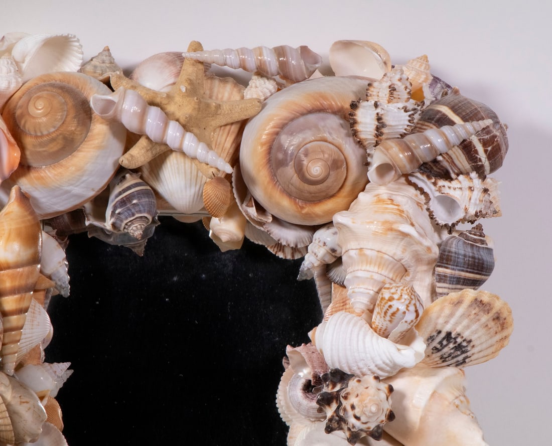 SEASHELL ENCRUSTED MIRROR - 2