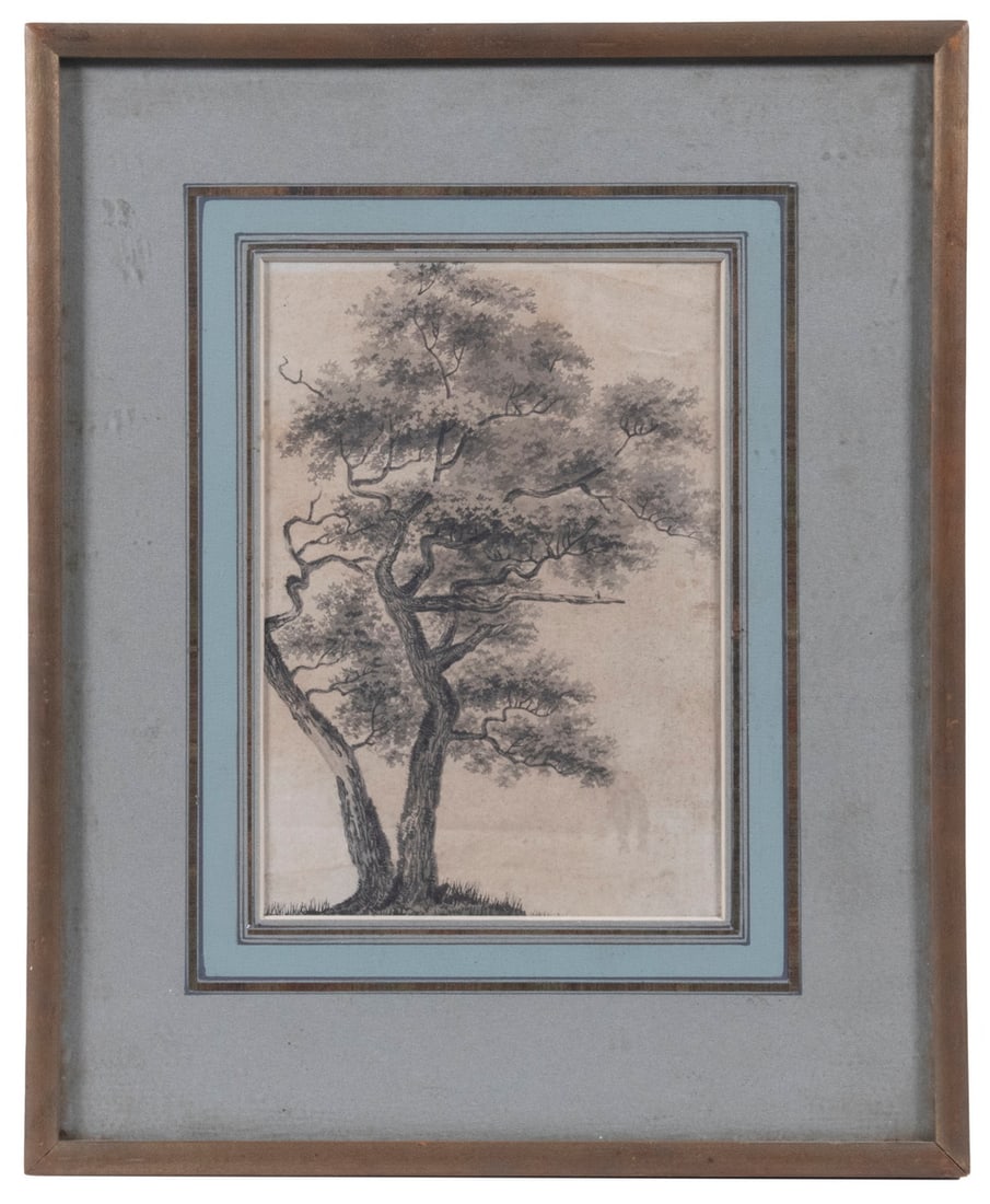 18TH C. RENDERING FROM NATURE: 18TH C. RENDERING FROM NATURE Study of an Ancient Elm, ink on wove paper. Housed in stick frame, under green mat with silver leaf ruling, under plexi. OS: 12 1/2 x 10 in. (31.8 x 25.4 cm.), SS: 7 1/2