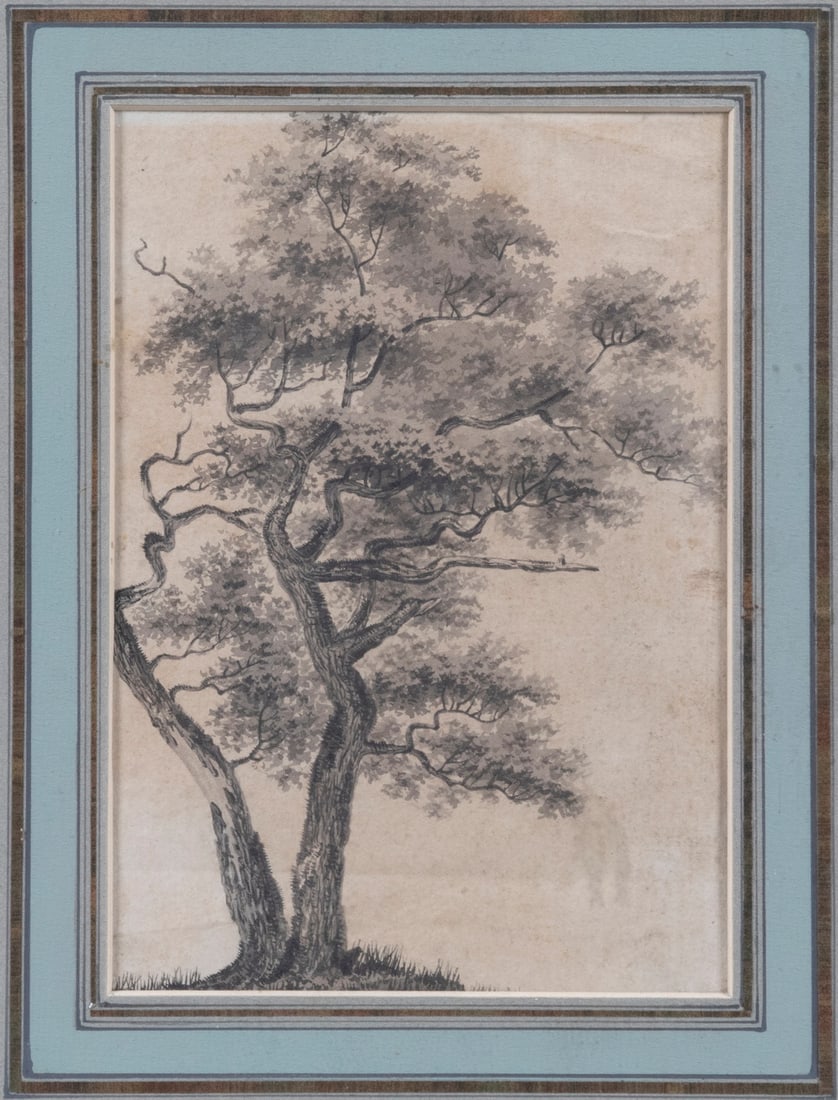 18TH C. RENDERING FROM NATURE - 2