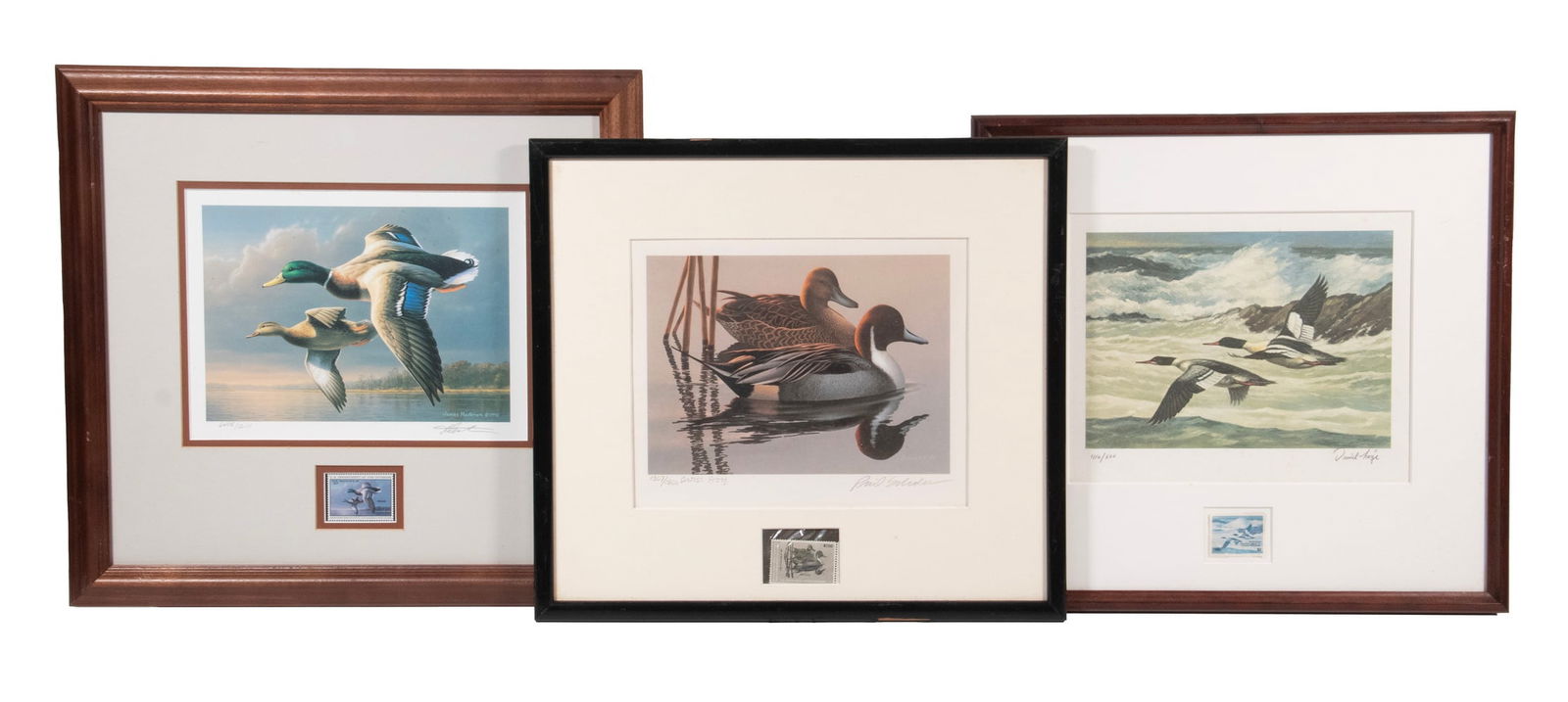 (3) FRAMED COMMEMORATIVE DUCK STAMPS: (3) FRAMED COMMEMORATIVE DUCK STAMPS Signed and numbered by the artists, each in a different frame. OS: 14 x 16 in. (35.6 x 40.6 cm.)