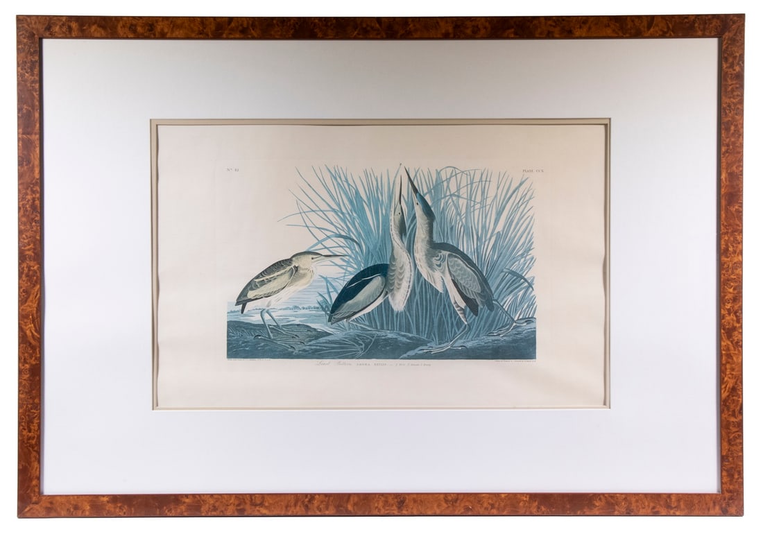 AFTER JOHN JAMES AUDUBON (NY, 1785-1851) (1 of 3)