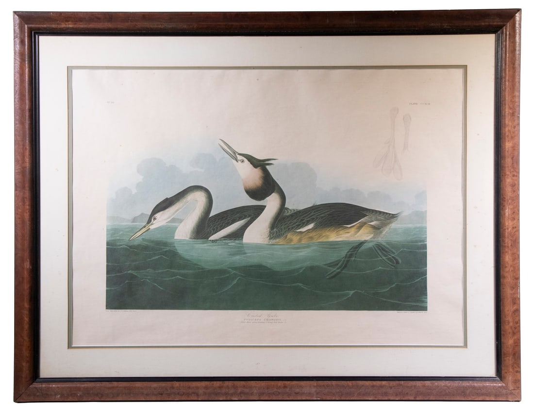 AFTER JOHN JAMES AUDUBON (NY, 1785-1851) (1 of 2)