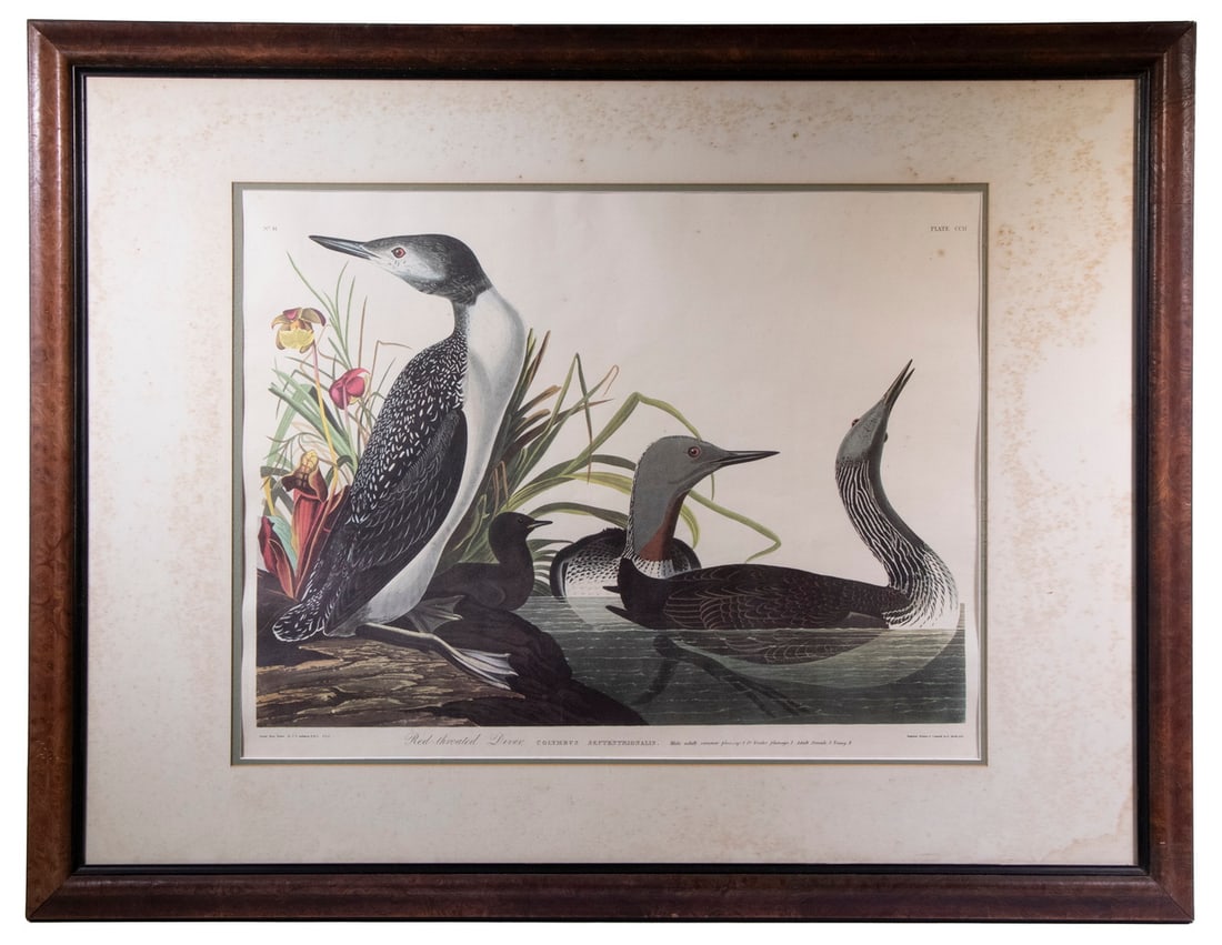 AFTER JOHN JAMES AUDUBON (NY, 1785-1851) (1 of 2)