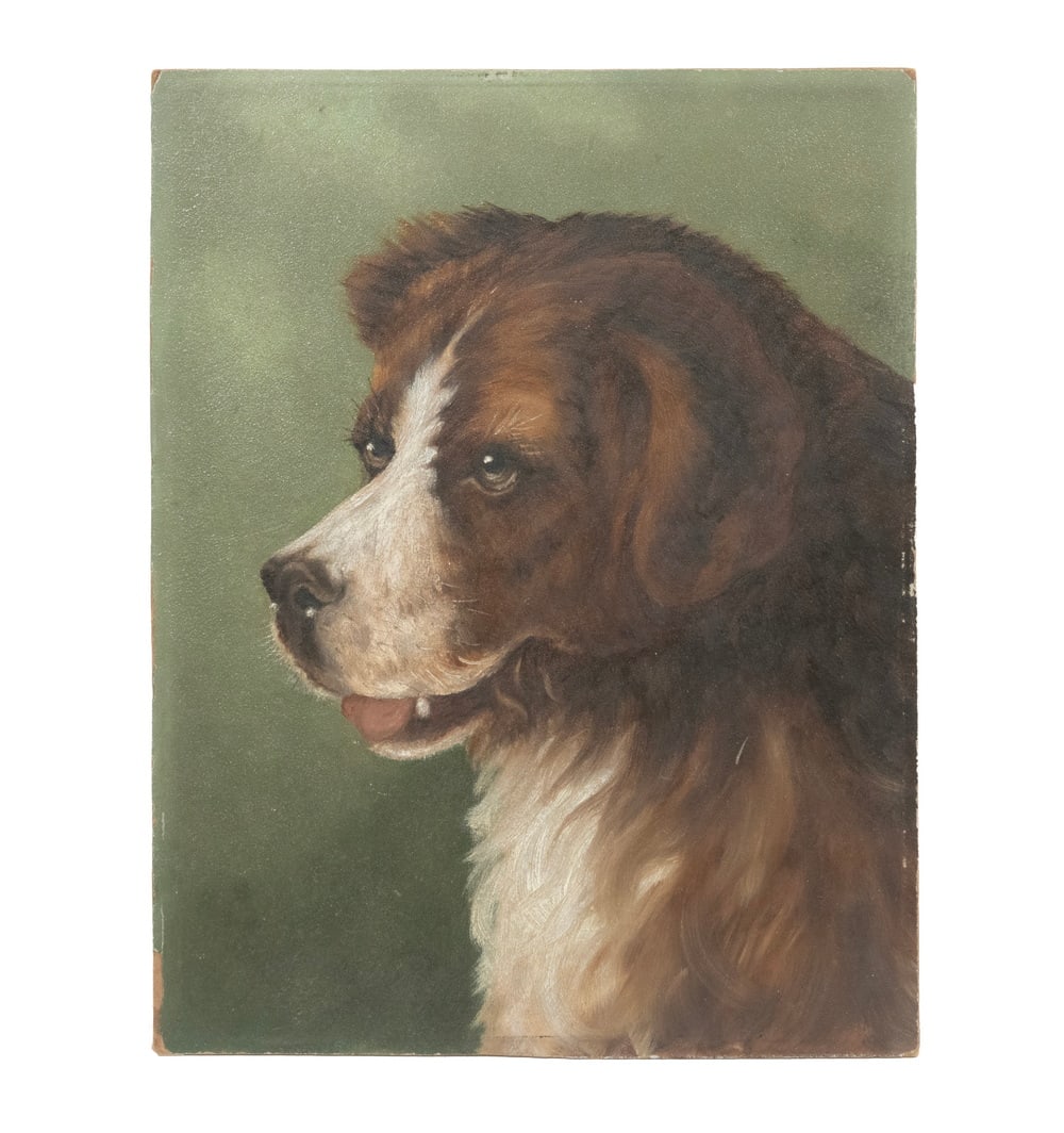 AMERICAN SCHOOL PORTRAIT OF A DOG, OIL ON ACADEMY BOARD, UNSIGNED (1 of 3)