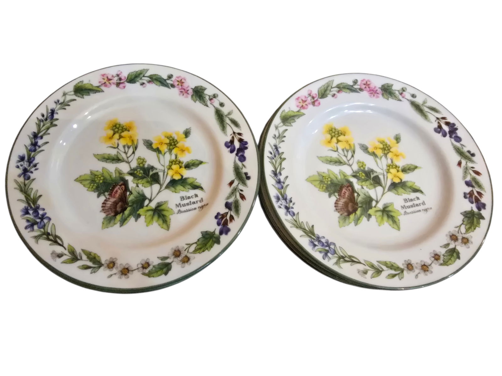 VINTAGE 1990 WORCESTER HERB SET OF 6 BLACK MUSTARD FLORAL CHINA DESSERT DISHES: VINTAGE 1990 WORCESTER HERB SET OF 6 BLACK MUSTARD FLORAL CHINA DESSERT DISHES. IN GOOD CONDITION, BEAUTIFUL COLORS.