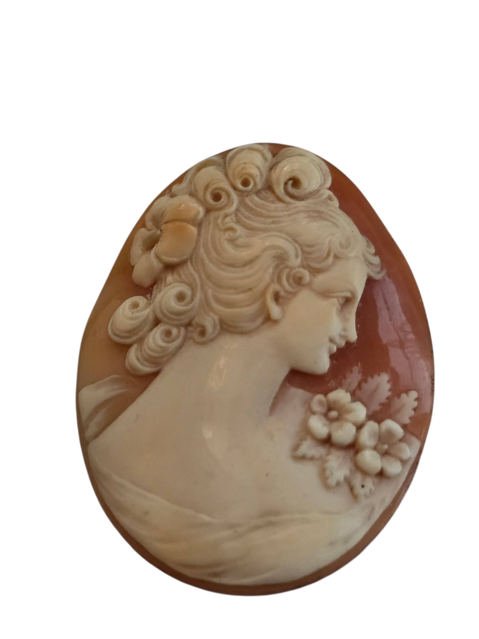 BEAUTIFUL CARVED SHELL CAMEO: BEAUTIFUL CARVED SHELL CAMEO. NO FRAME, 2"