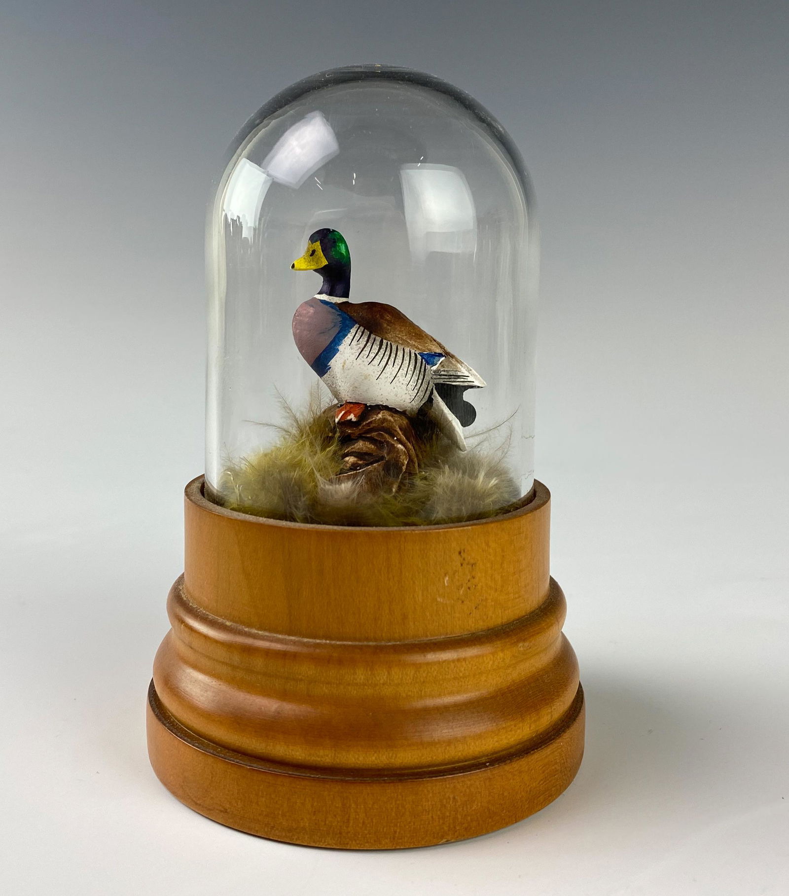 Glass Domed Male Mallard Duck Wild Bird Figurine (1 of 6)