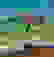 item-98541175=3