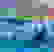 item-98541175=4