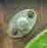 item-102073331=6