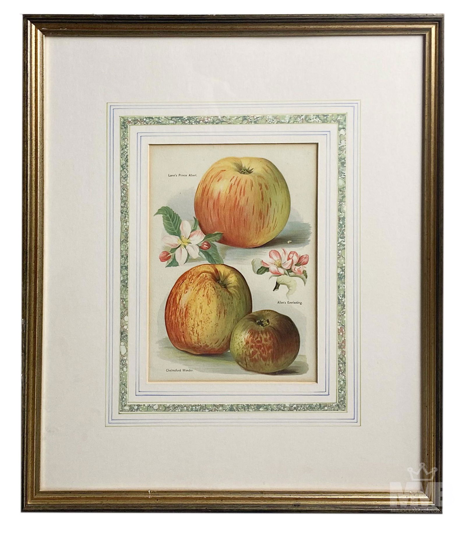 John Wright 19th C. Still Life Chromo Lithograph: John Wright (19th Century). Chromolithograph on paper. From "The Fruit Growers Guide" by John Wright, published from 1891-1894 with illustrations by May Rivers. Good condition, frame having normal sto