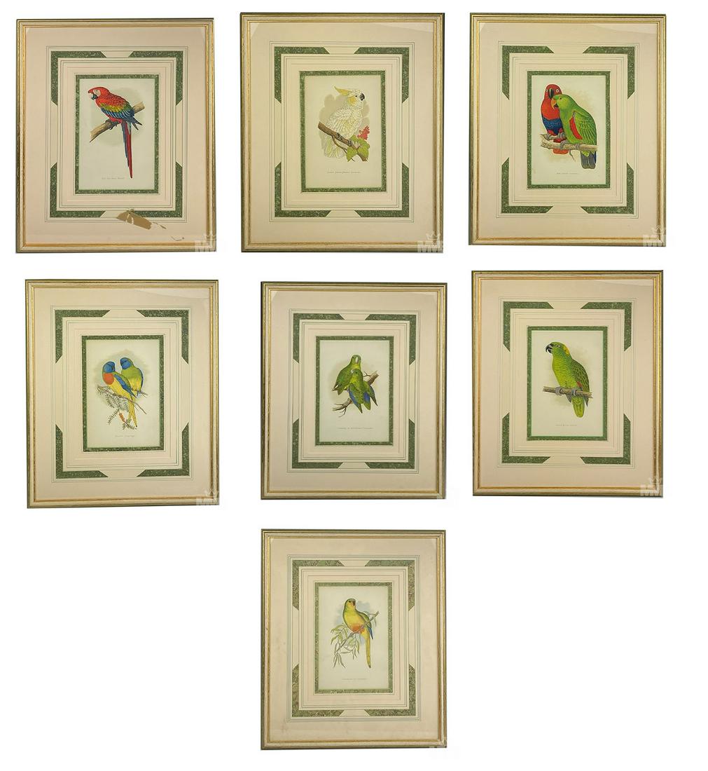 W. T. Greene 19th Century Parrot Bird Lithographs (1 of 8)