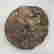 item-106208782=3