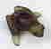 item-119015298=2