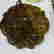 item-119015895=3