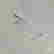 item-121364462=3