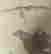 item-121364968=3