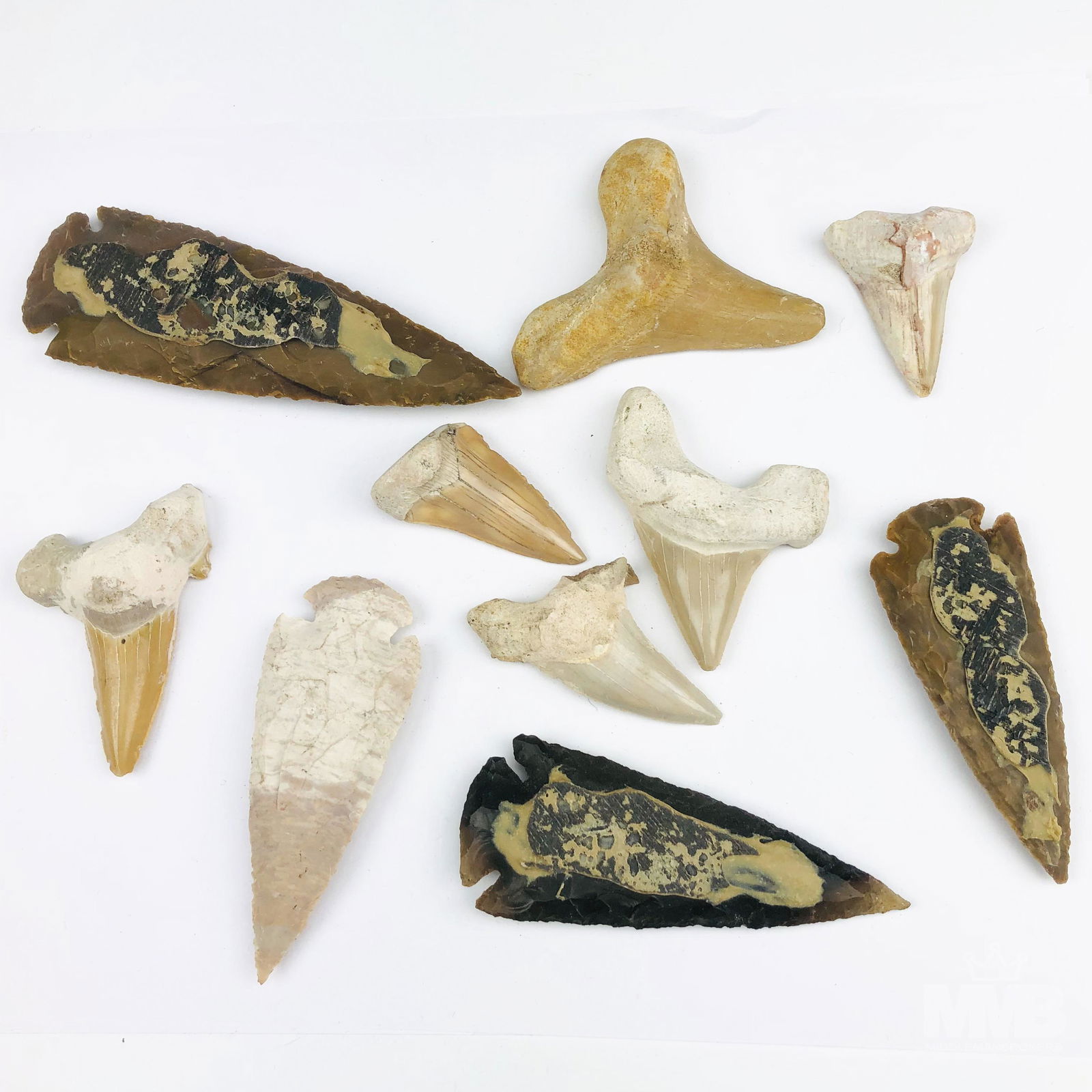 Native American Stone Spear Heads & Shark Teeth: Estate collection of (4) Native American Indian carved stone spear head tips and (6) fossil shark teeth. Largest spear head measures 5" x 1.5" x .5"; largest shark tooth measures 2.5" x 2.5" x .5". SH