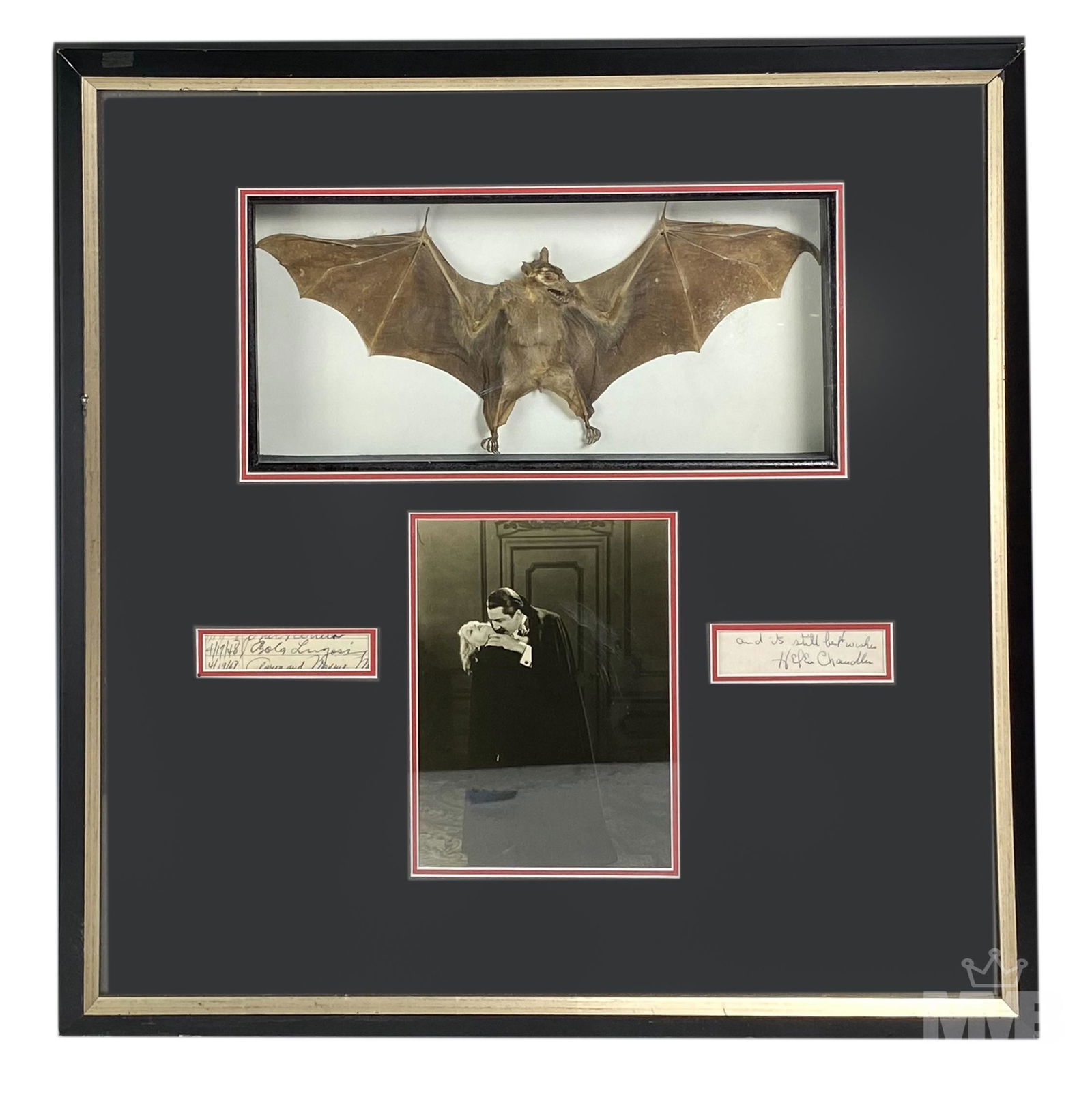 Helen Chandler Autographed Dracula Photo Real Bat (1 of 5)