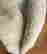 item-129156232=4