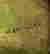item-129156801=4