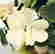 item-129156856=3
