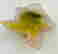 item-131366807=4