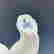 item-131366999=3