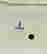 item-131367002=6