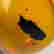item-131367085=5