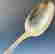 item-131367102=2