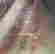 item-131367146=4