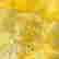 item-131367160=5