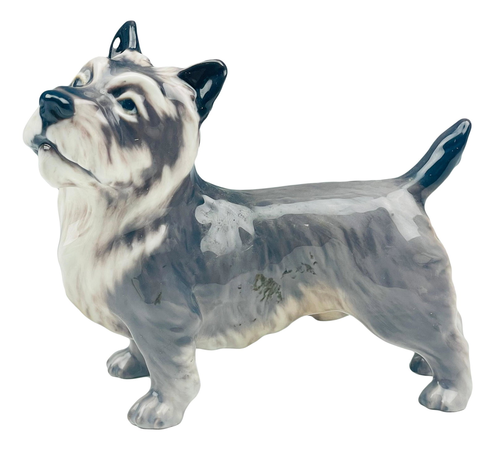 Dahl Jensen Cairn Terrier Porcelain Dog Figurine: Designer : Jens Peter Dahl Jensen ( Danish, 1874 - 1960 ) ~ celebrated and internationally respected sculptor and porcelain painter. Model number 1145. Technique : Underglaze. Status : Retired. Featur