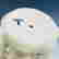 item-131367206=5
