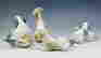 item-131367208=2